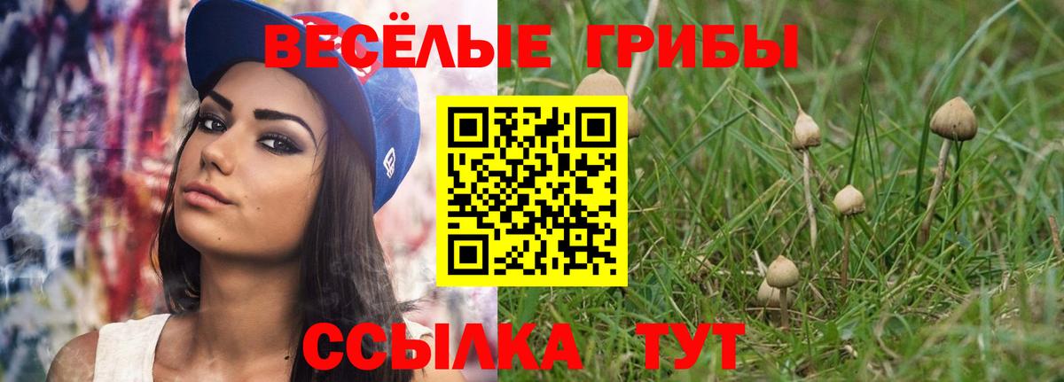 Галлюциногенные грибы Psilocybine cubensis  продажа наркотиков  Краснокаменск  Вход с VPN 