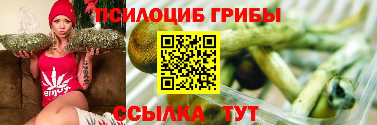 Галлюциногенные грибы мухоморы Краснокаменск